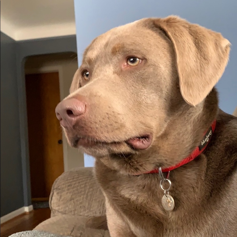 Meet your Posher, Nena